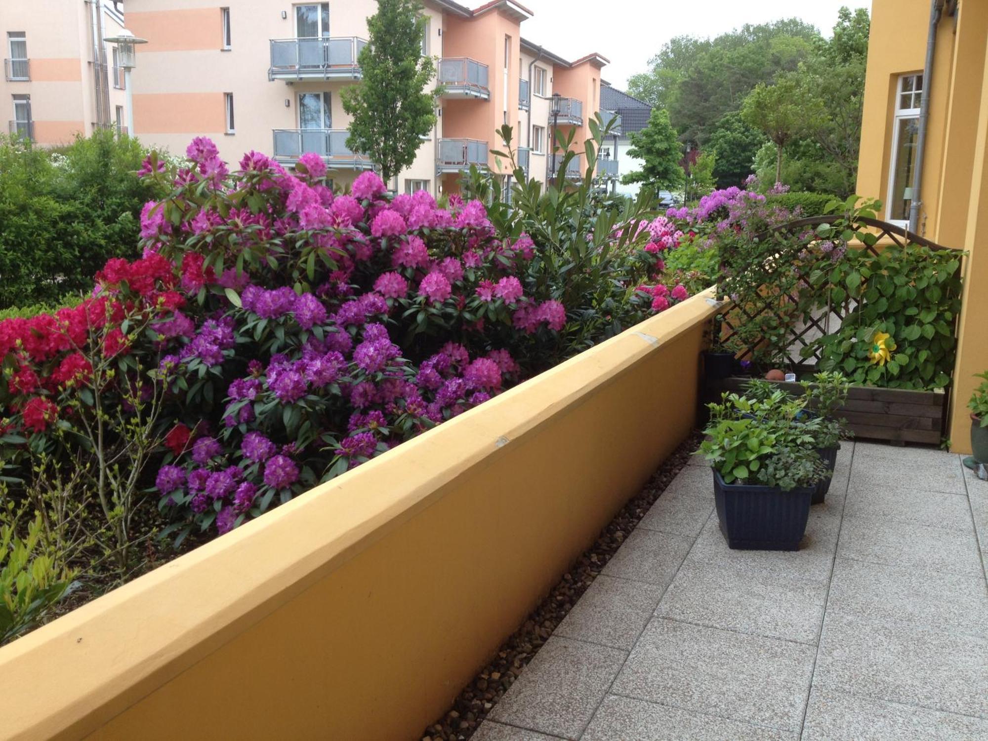 Kuehlungsborn Ferienwohnung Sonnenresidenz คูล็องสบอร์น ภายนอก รูปภาพ